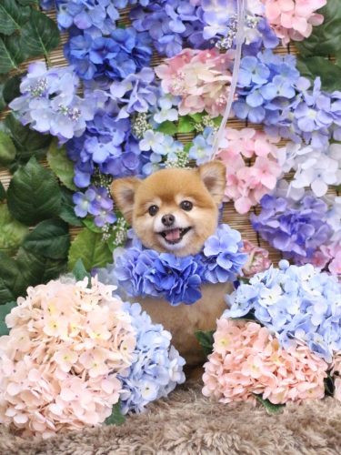 20250619のんちゃん